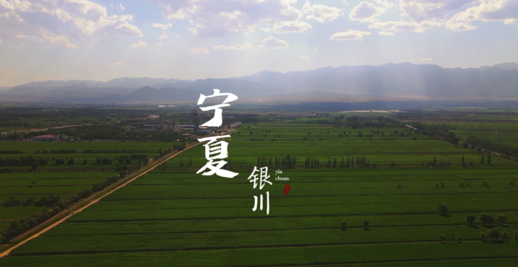 &#107;&#97;&#105;&#121;&#117;&#110;&#24179;&#21488;&#45;&#107;&#97;&#105;&#121;&#117;&#110;&#40;&#20013;&#22269;&#41;&#19968;&#31449;&#24335;&#26381;&#21153;&#24179;&#21488;